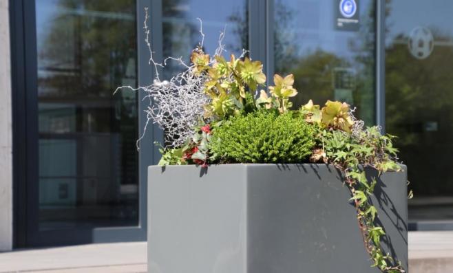 Blumenkasten steht an Tür eines Unternehmens