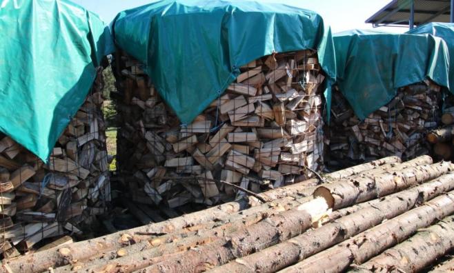 Kaminholz in Körben und liegende Baumstämme